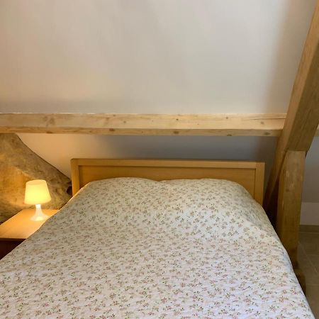 Gite Chez Le Gaulois Carsac-Aillac Zewnętrze zdjęcie