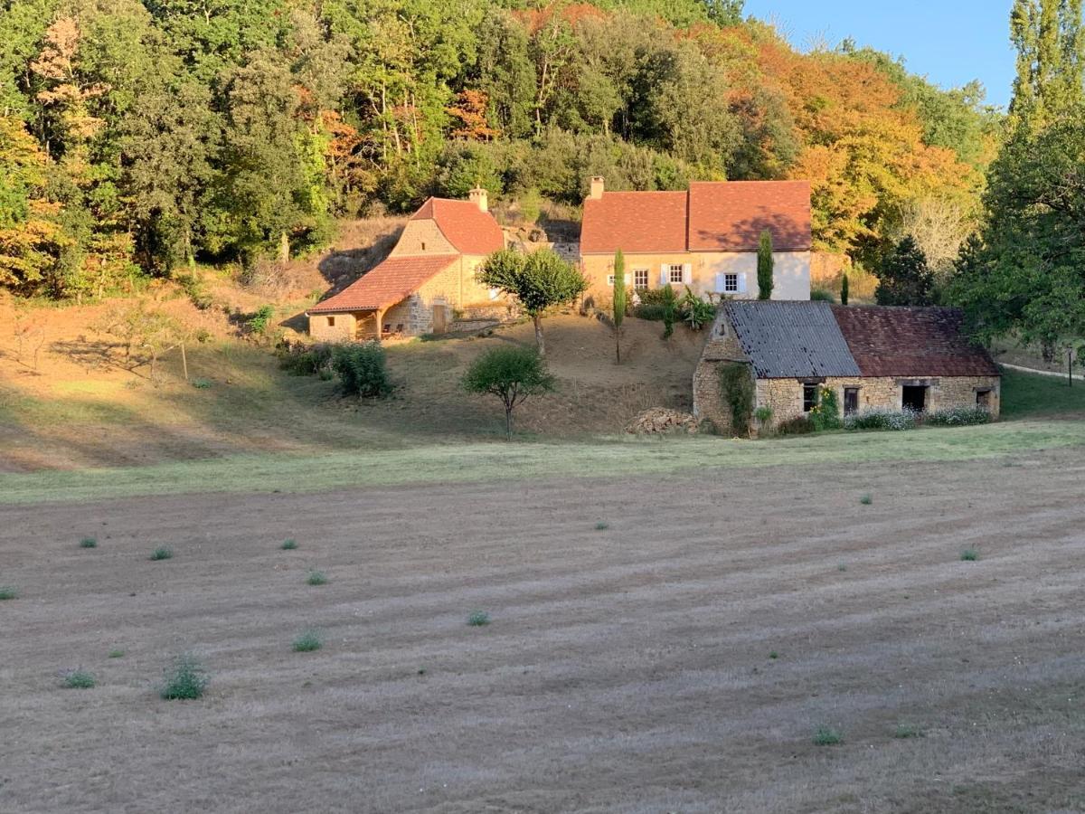 Gite Chez Le Gaulois Carsac-Aillac Zewnętrze zdjęcie