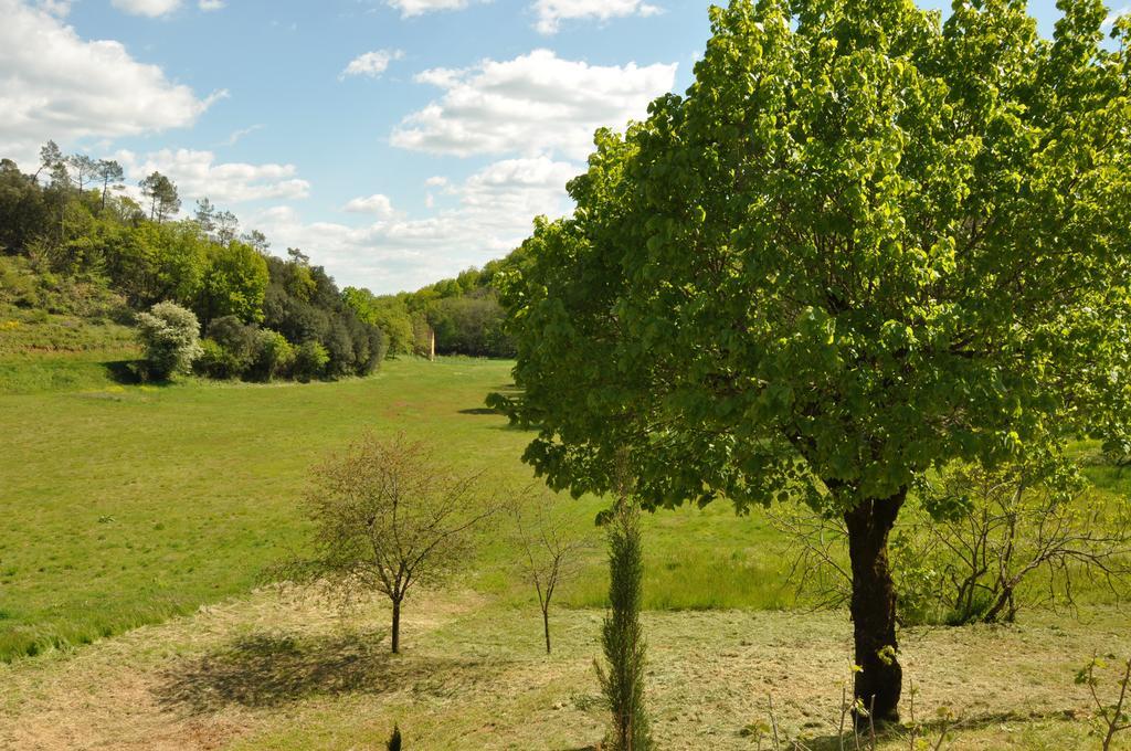 Gite Chez Le Gaulois Carsac-Aillac Zewnętrze zdjęcie