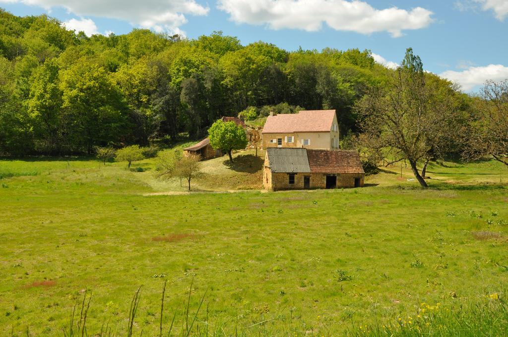 Gite Chez Le Gaulois Carsac-Aillac Zewnętrze zdjęcie