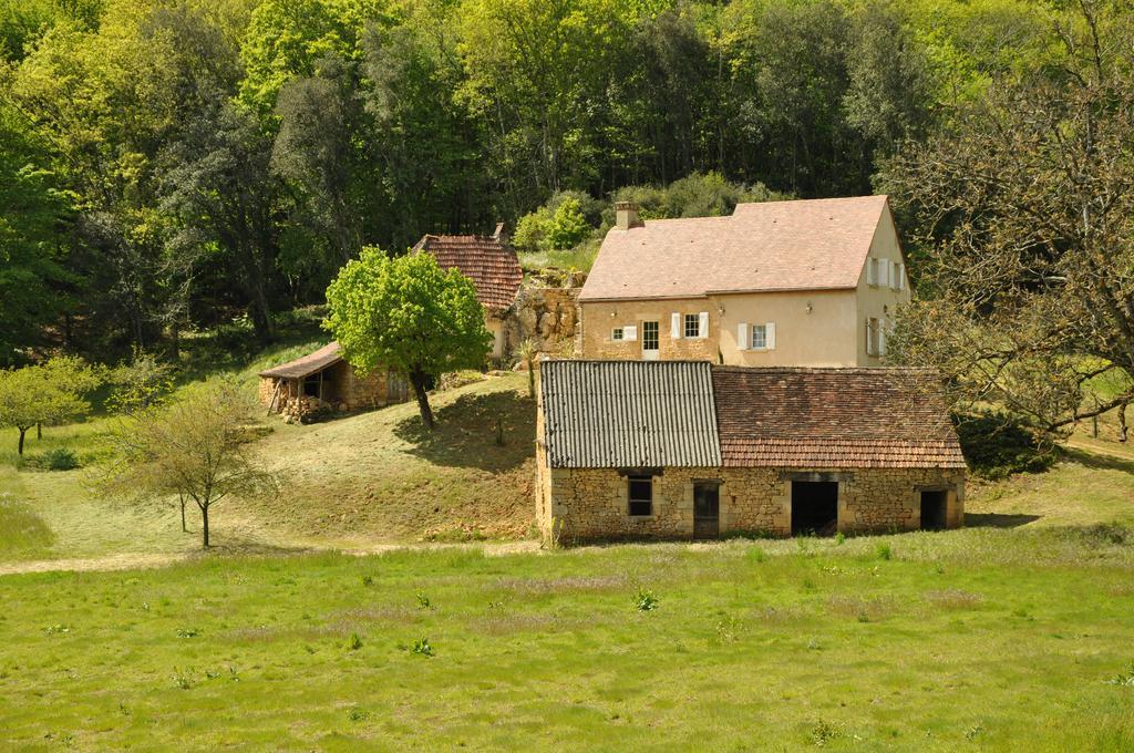 Gite Chez Le Gaulois Carsac-Aillac Zewnętrze zdjęcie